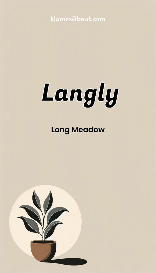 Meaning of Langly