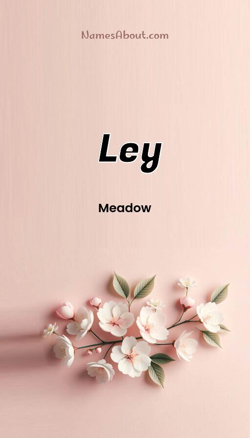 Meaning of Ley