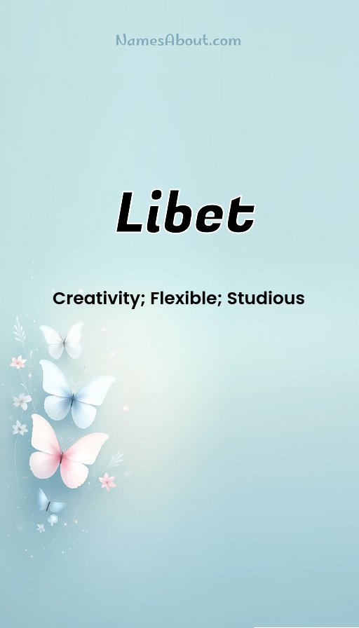 Meaning of Libet