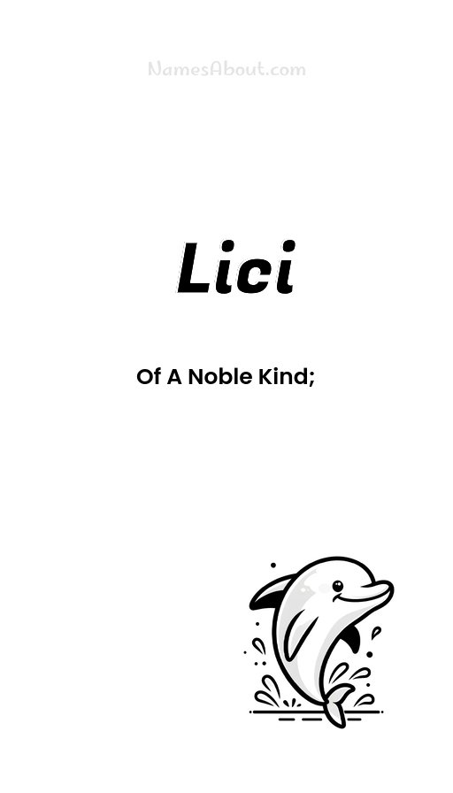 Meaning of Lici