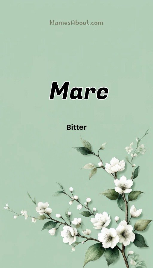 Meaning of Mare