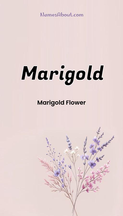 Meaning of Marigold