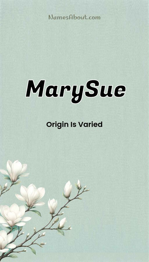 Meaning of Marysue