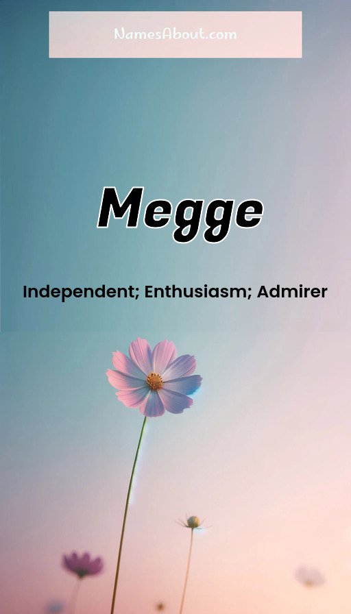 Meaning of Megge