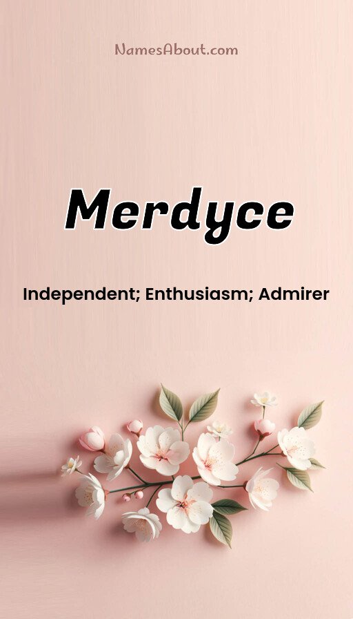 Meaning of Merdyce