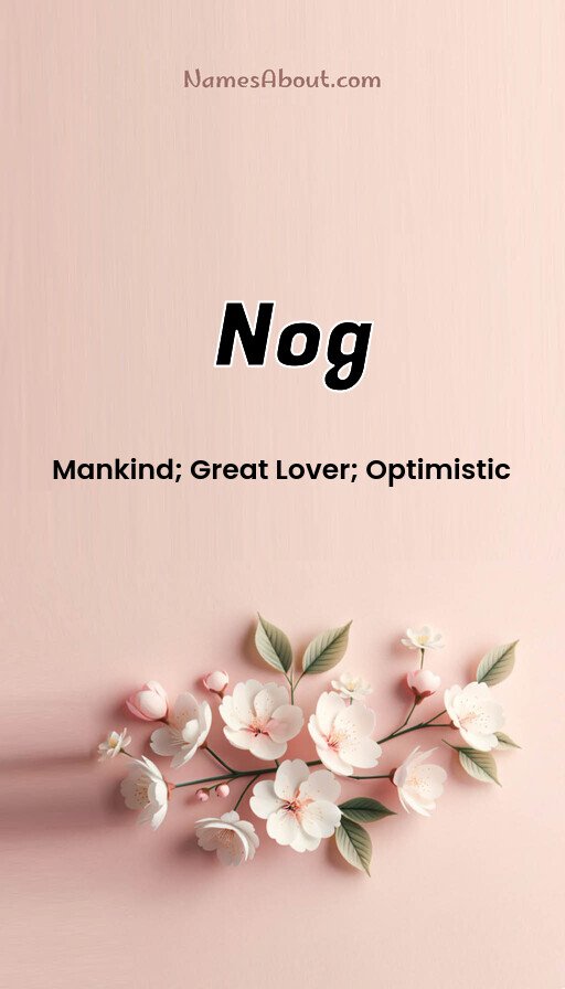 Meaning of Nog