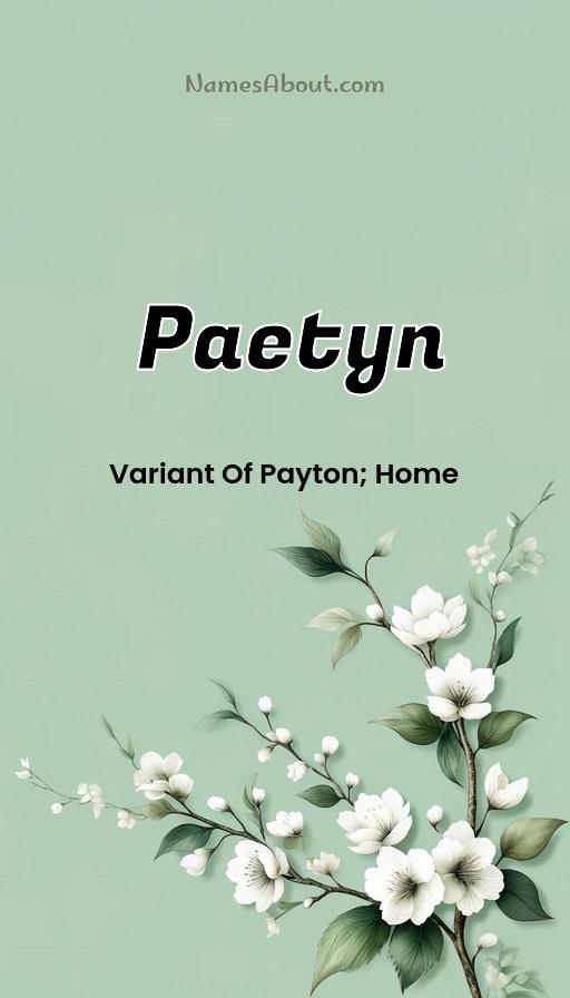 Illustration of Paetyn