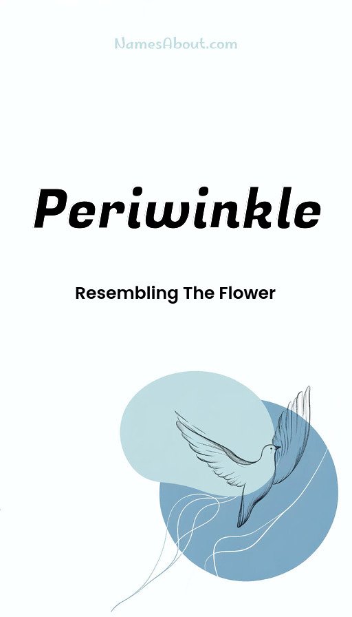 Meaning of Periwinkle