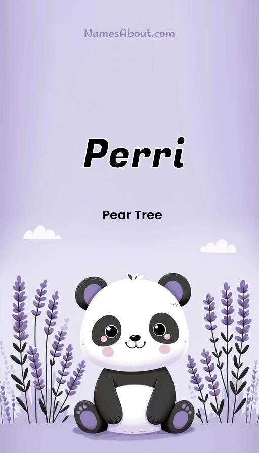 Illustration of Perri