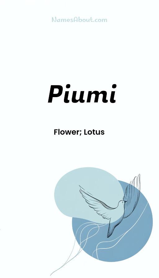 Illustration of Piumi