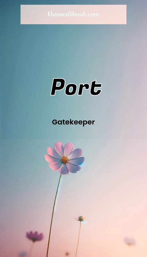 Meaning of Port