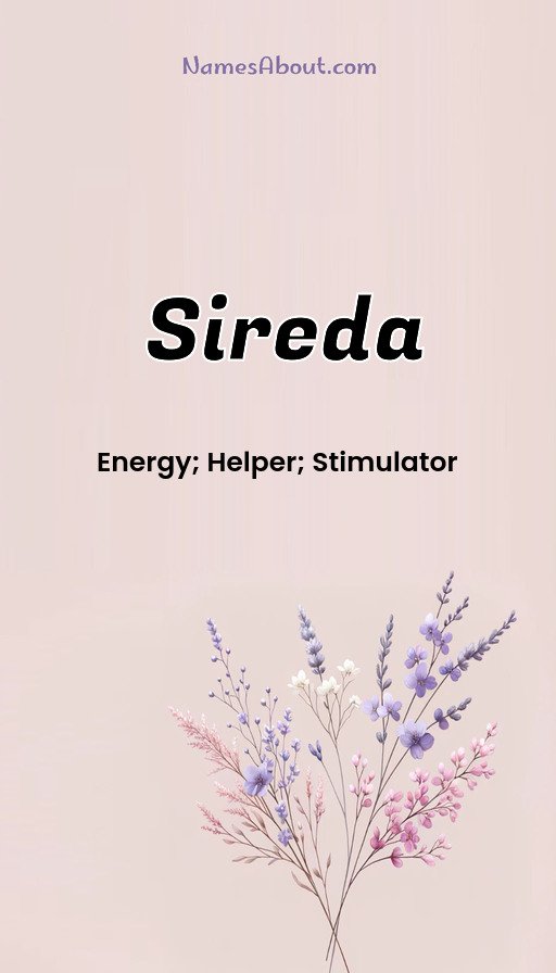 Meaning of Sireda