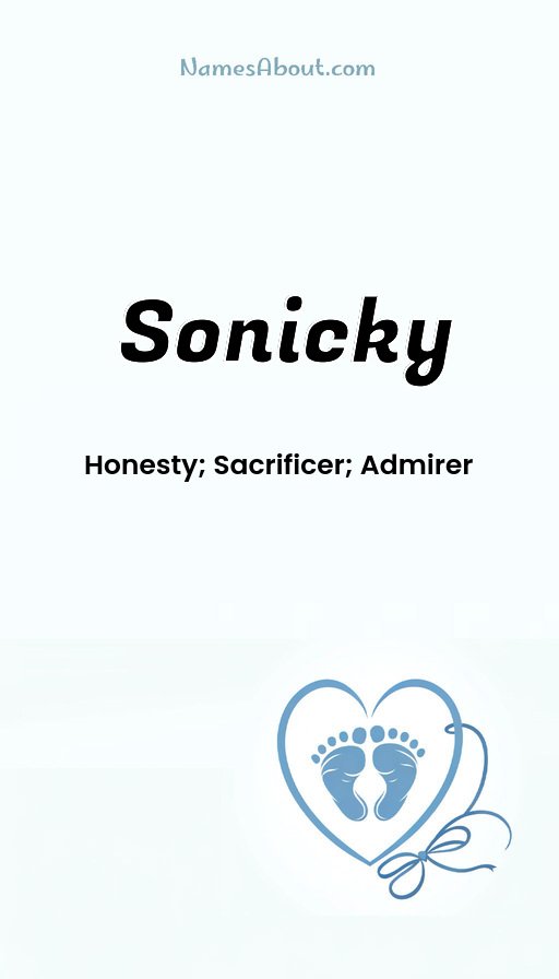 Meaning of Sonicky