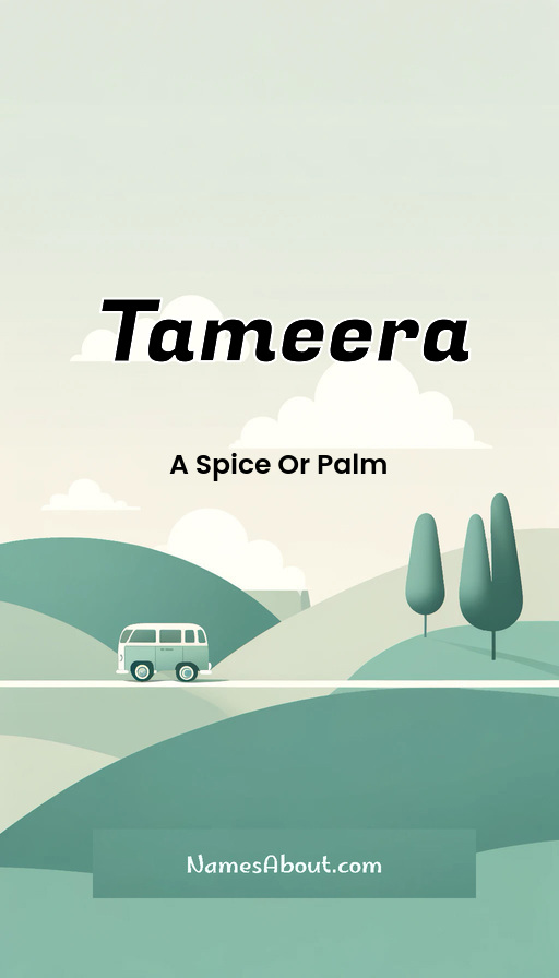 Meaning of Tameera