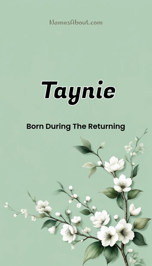 Meaning of Taynie