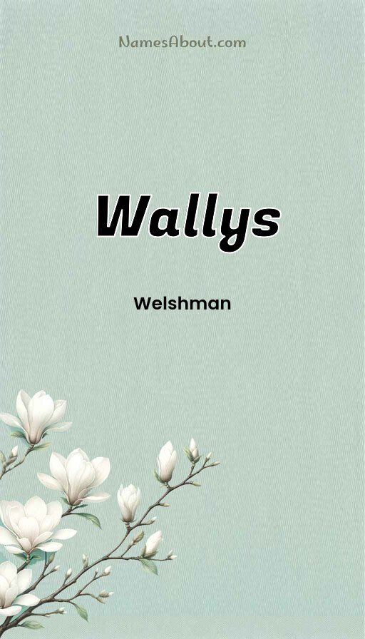Meaning of Wallys