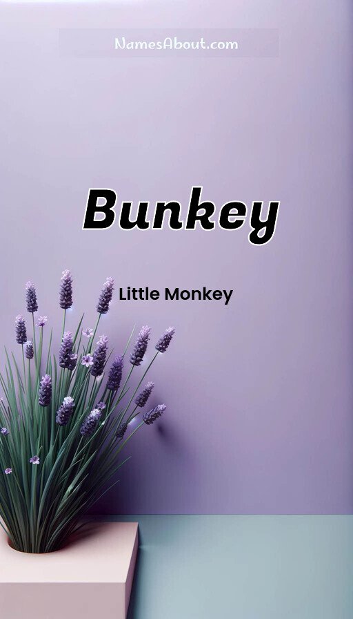 Meaning of Bunkey