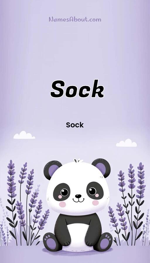 Illustration of Sock