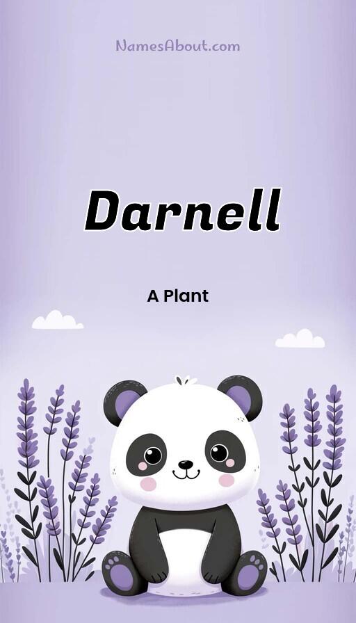 Illustration of Darnell