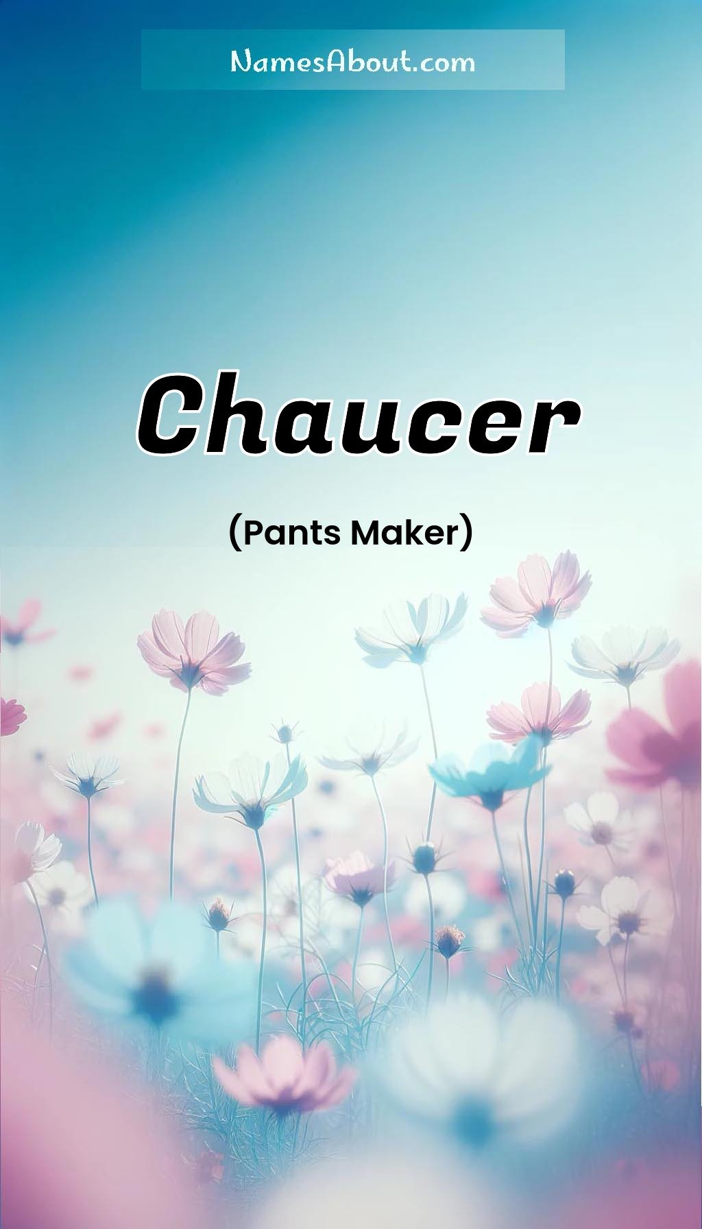 Chaucer name and meaning