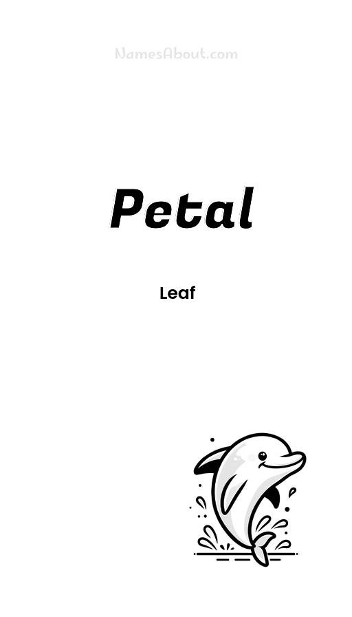 Illustration of Petal