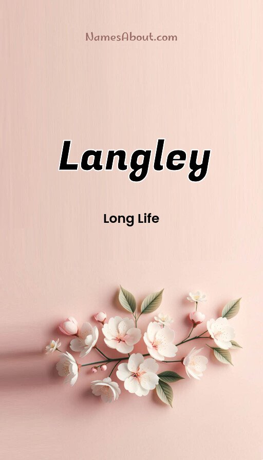 Meaning of Langley