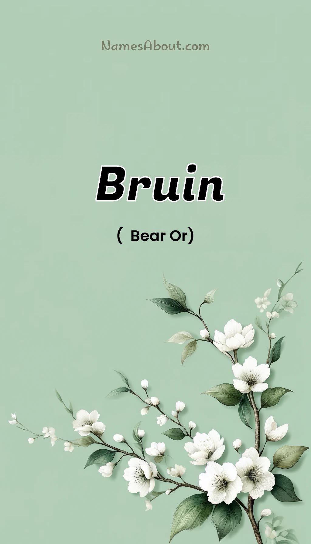 Bruin name and meaning