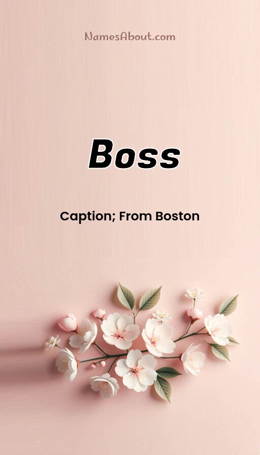 Meaning of Boss