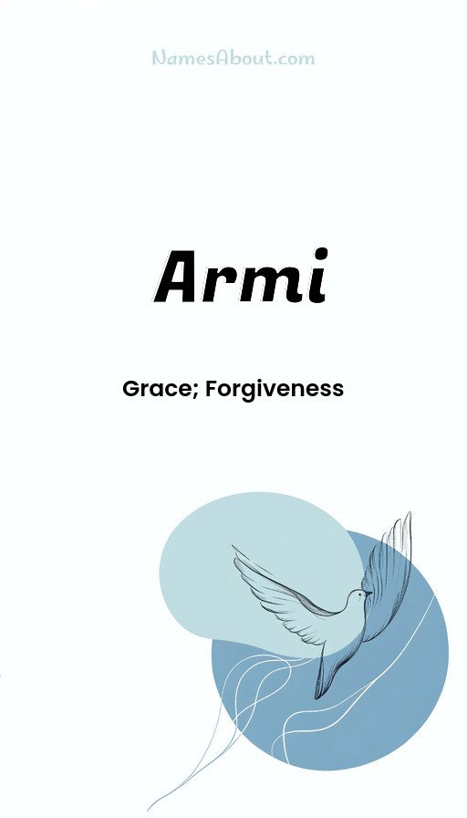 Meaning of Armi