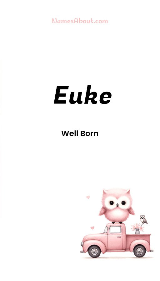 Meaning of Euke