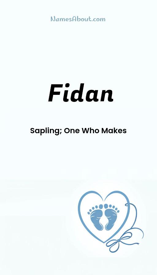 Fidan name and meaning