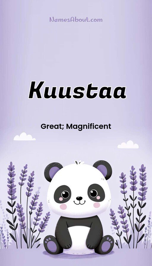 Meaning of Kuustaa