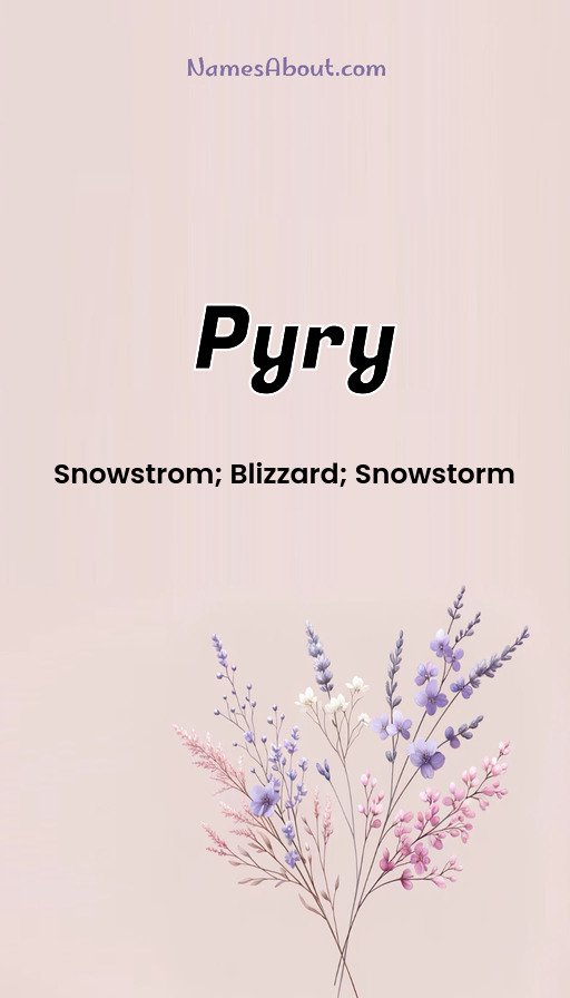 Meaning of Pyry