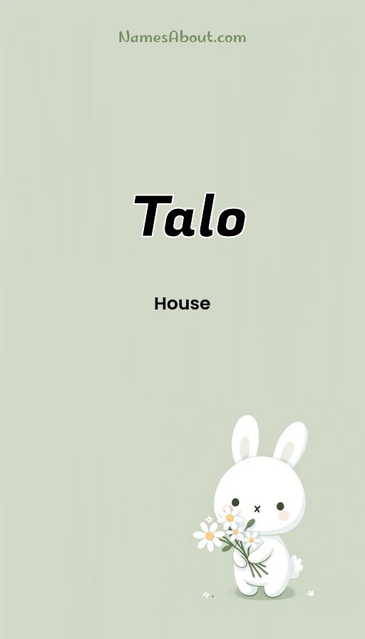 Meaning of Talo