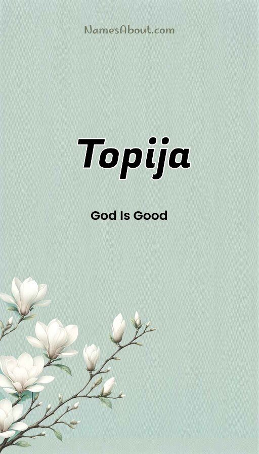 Meaning of Topija