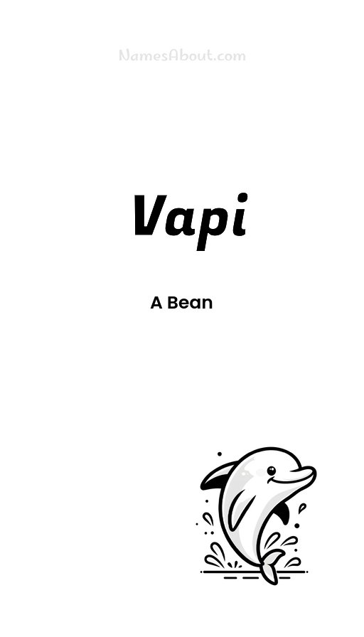 Meaning of Vapi