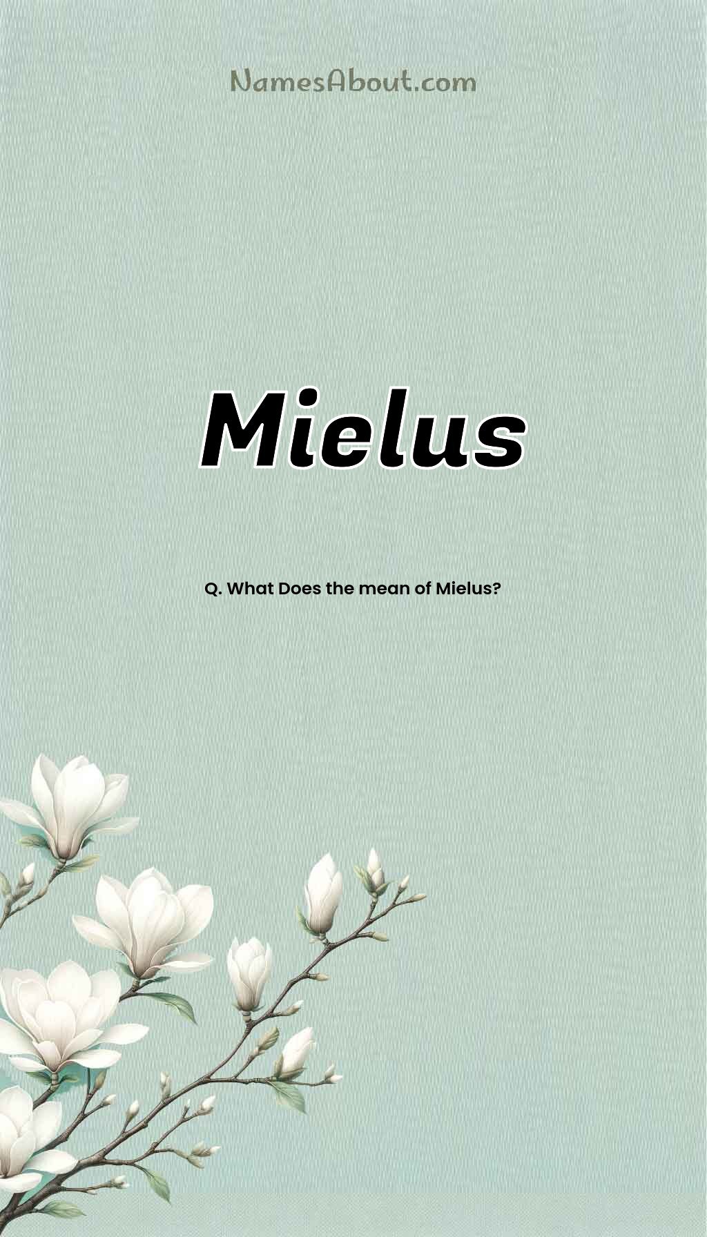 Mielus name and meaning