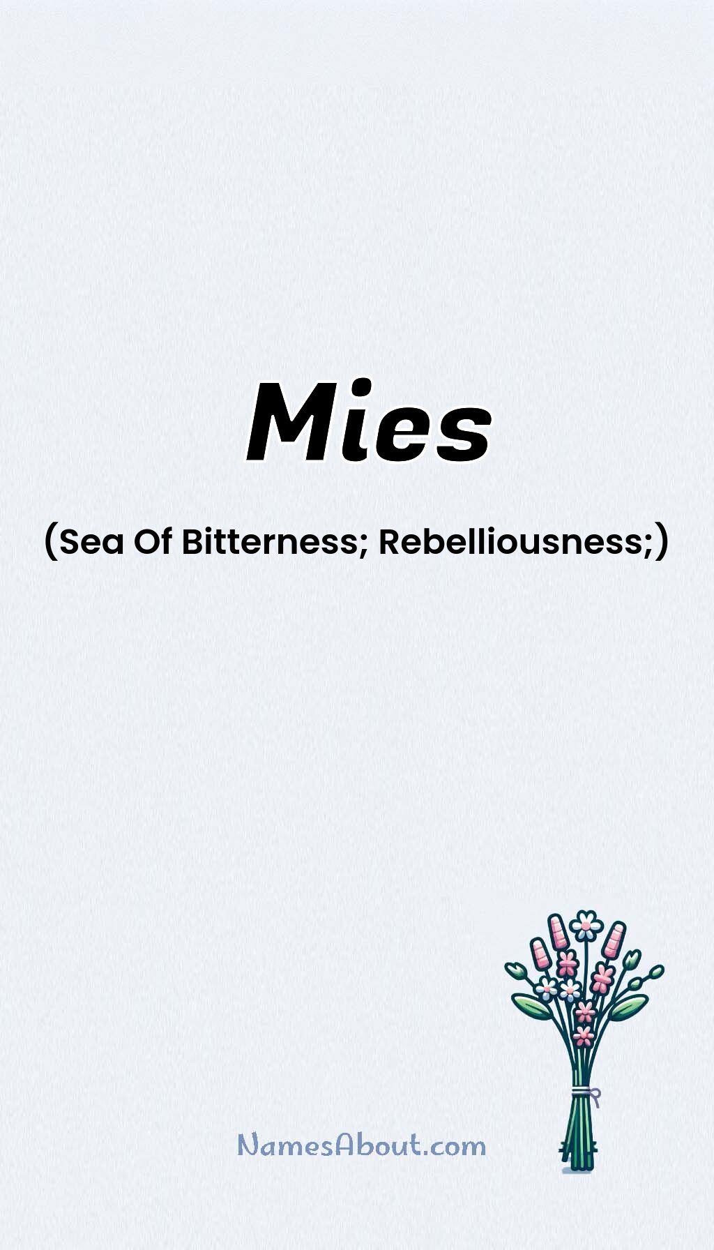 Mies name and meaning