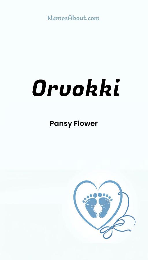 Orvokki name and meaning