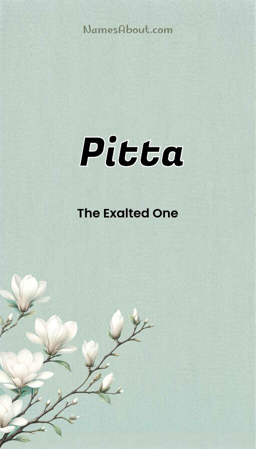 Meaning of Pitta