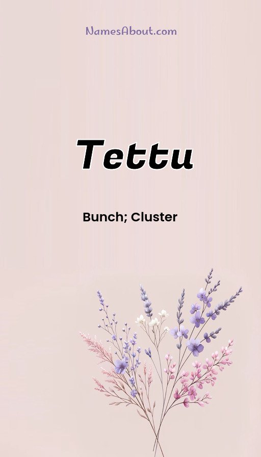 Meaning of Tettu