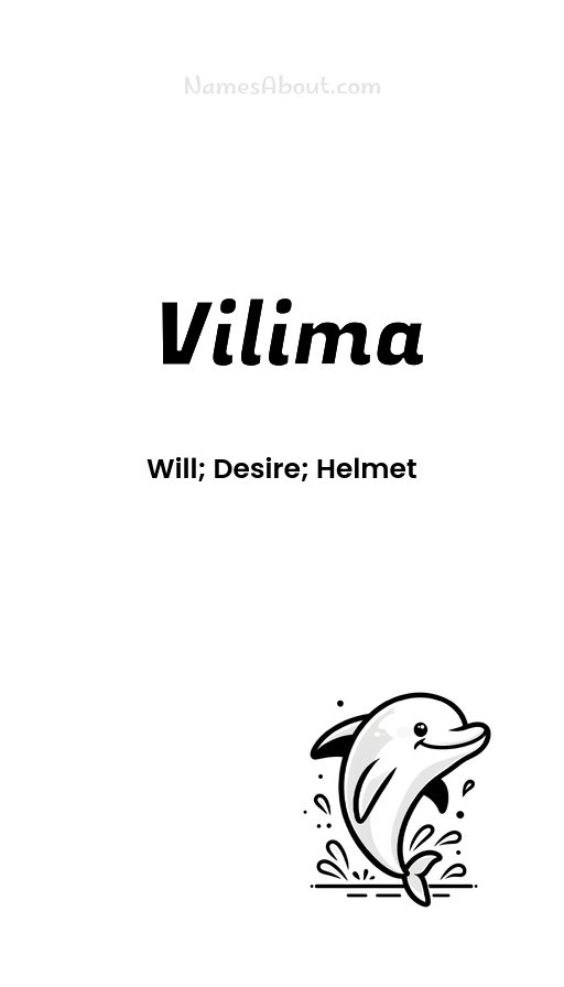 Meaning of Vilima