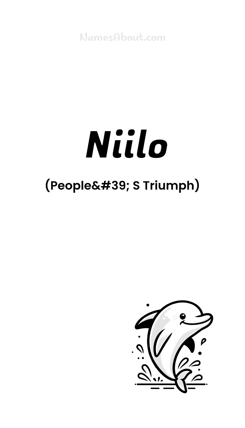 Niilo name and meaning