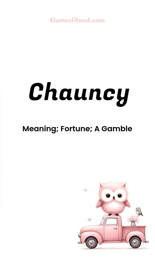 Meaning of Chauncy