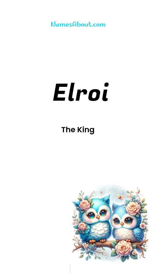 Meaning of Elroi