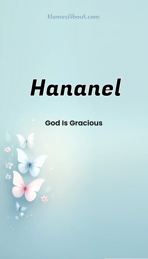 Meaning of Hananel
