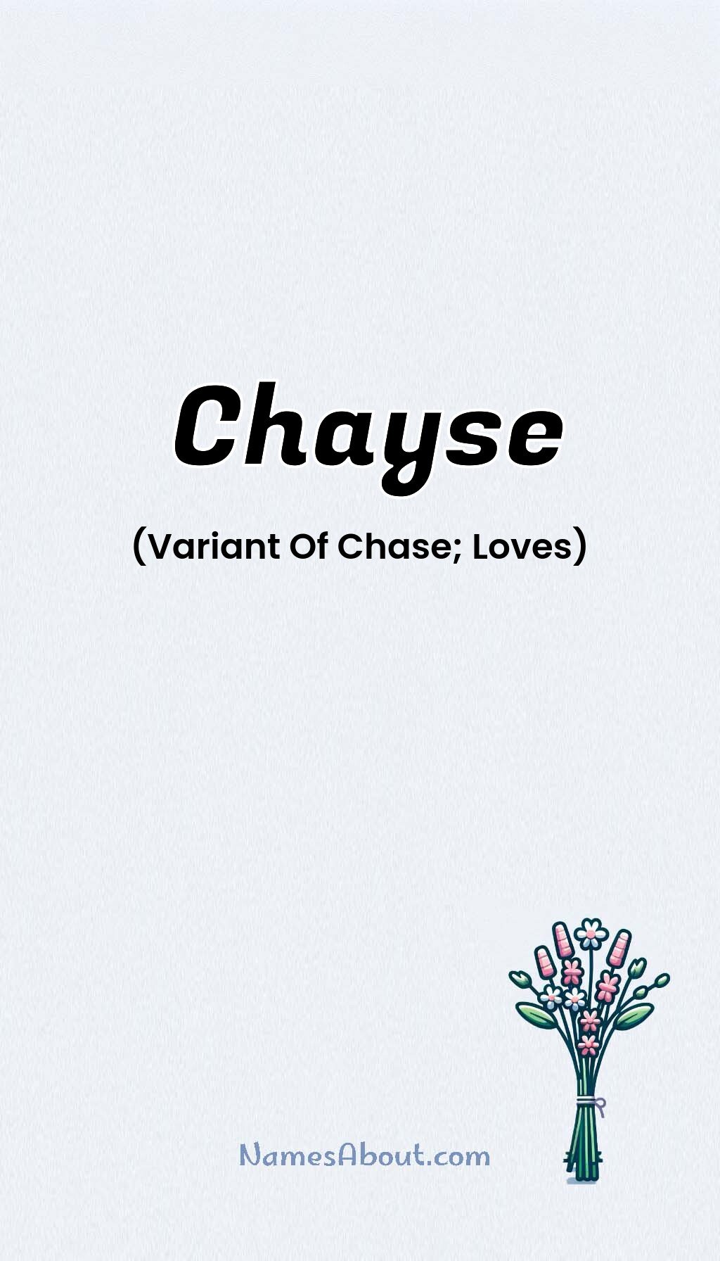 Chayse name and meaning