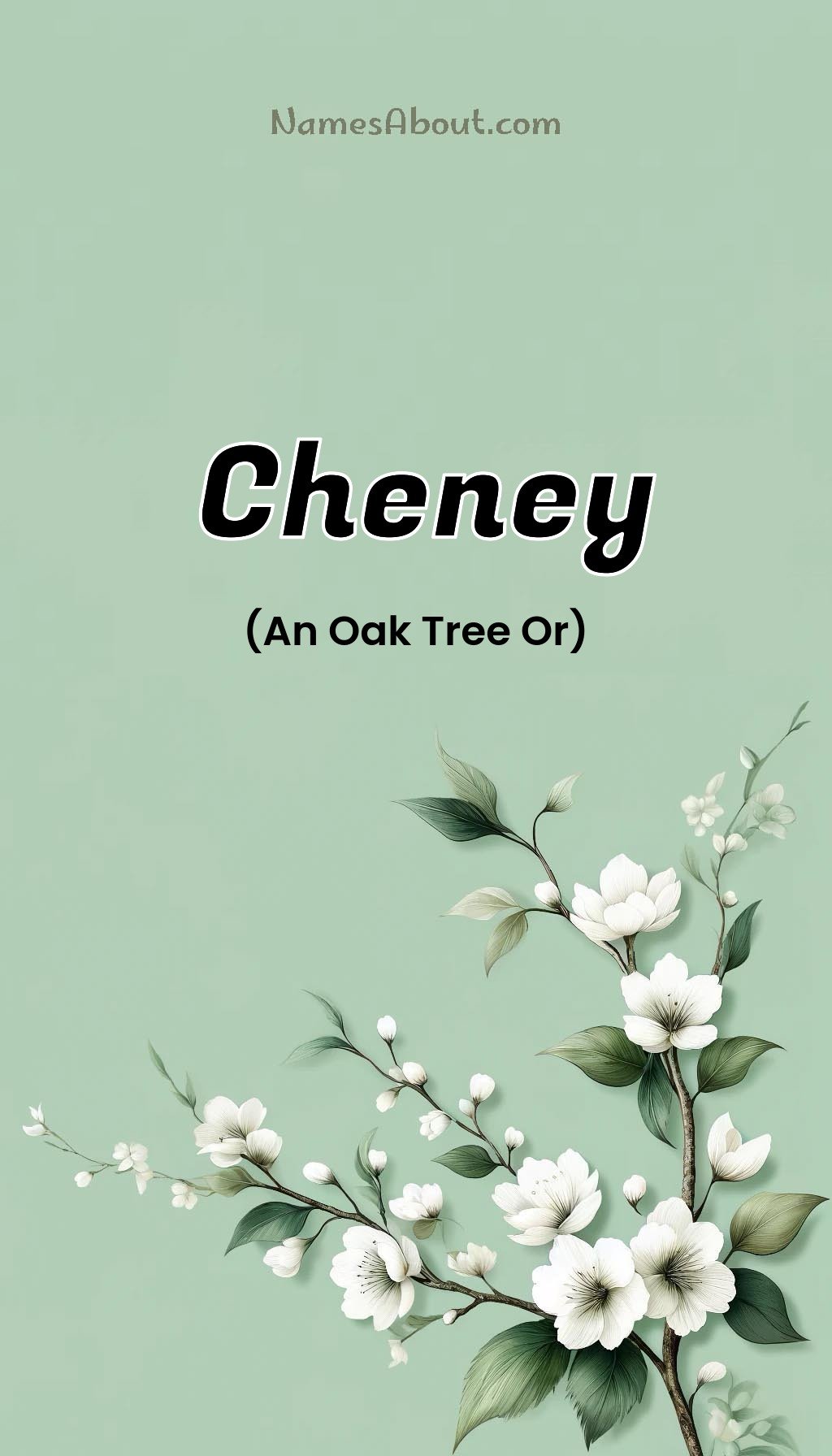 Cheney name and meaning