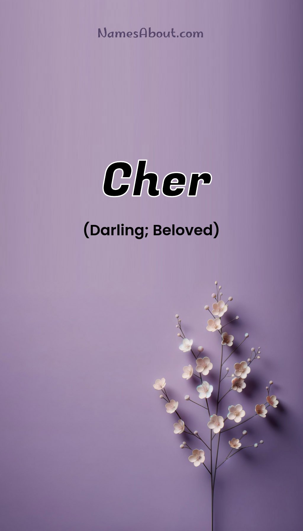 Cher name and meaning