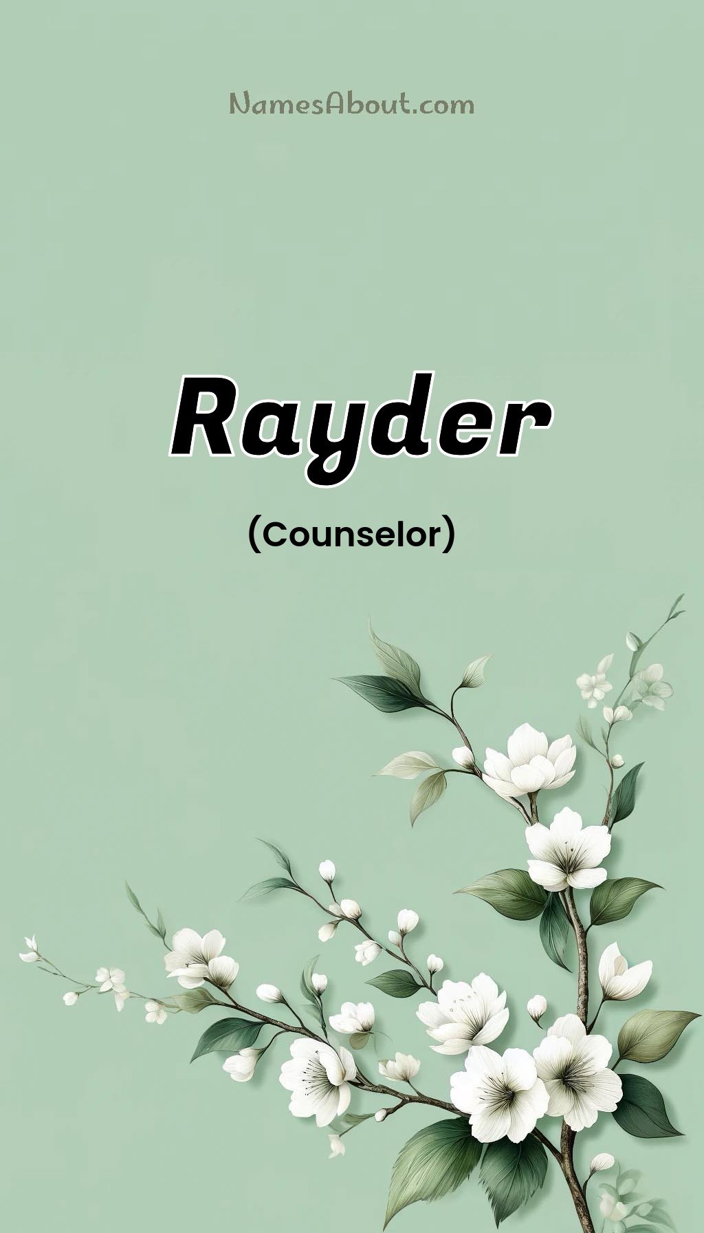 Rayder name and meaning